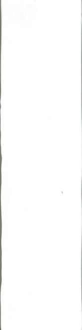 TOU75300 (HM75300) TOUCH WHITE GLOSS 75X300